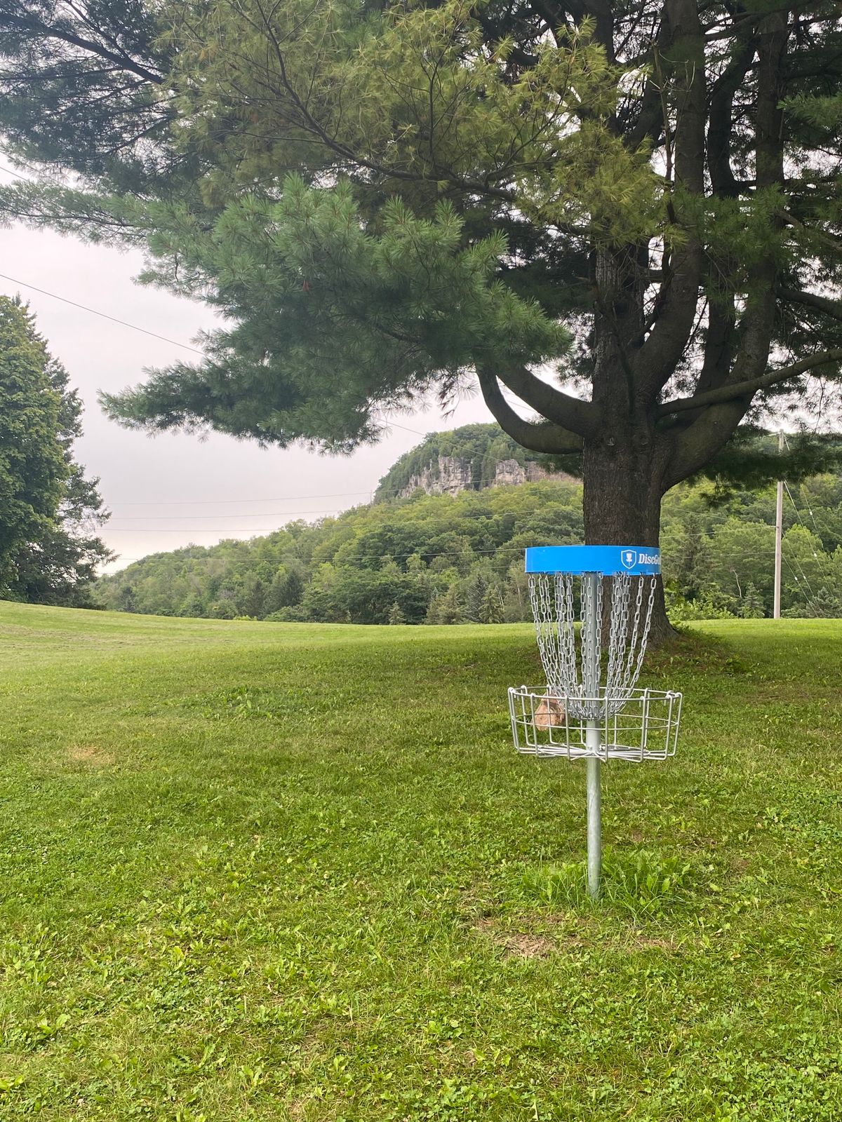 7th green