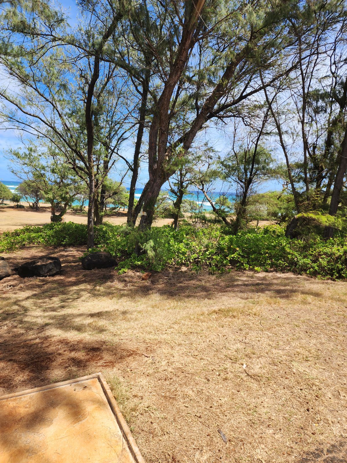 1st tee