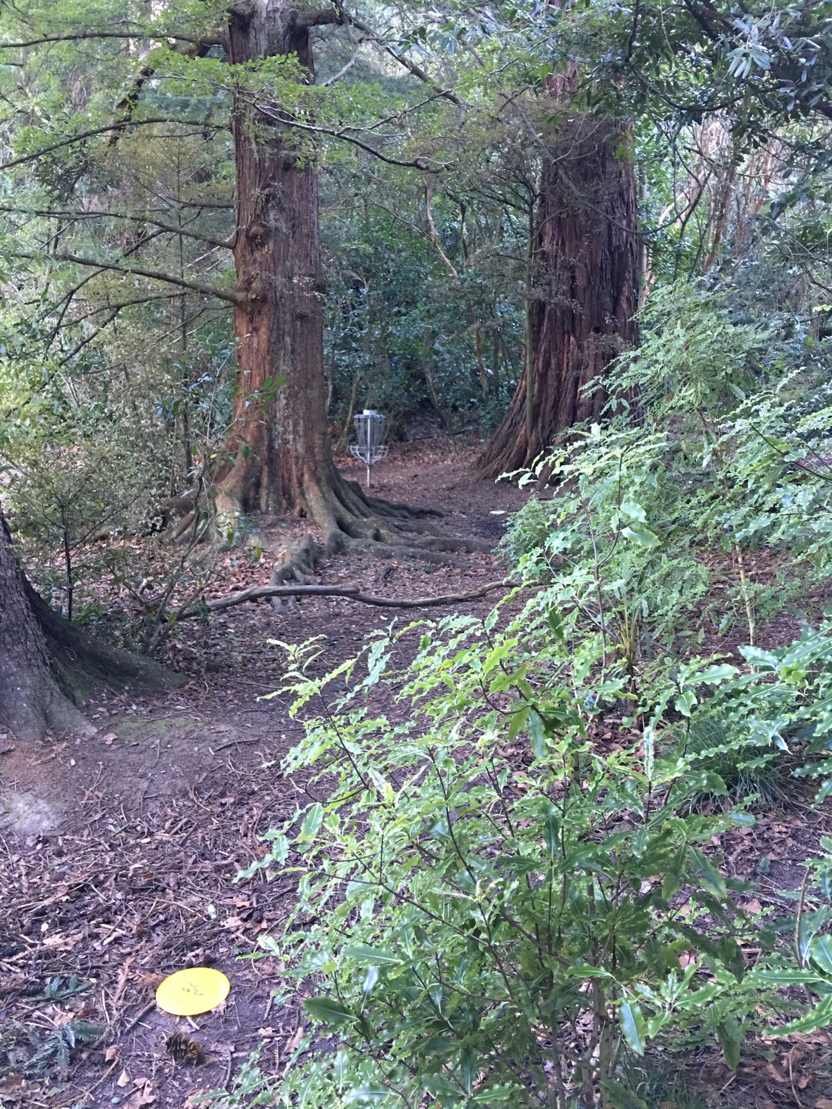 Hole 6