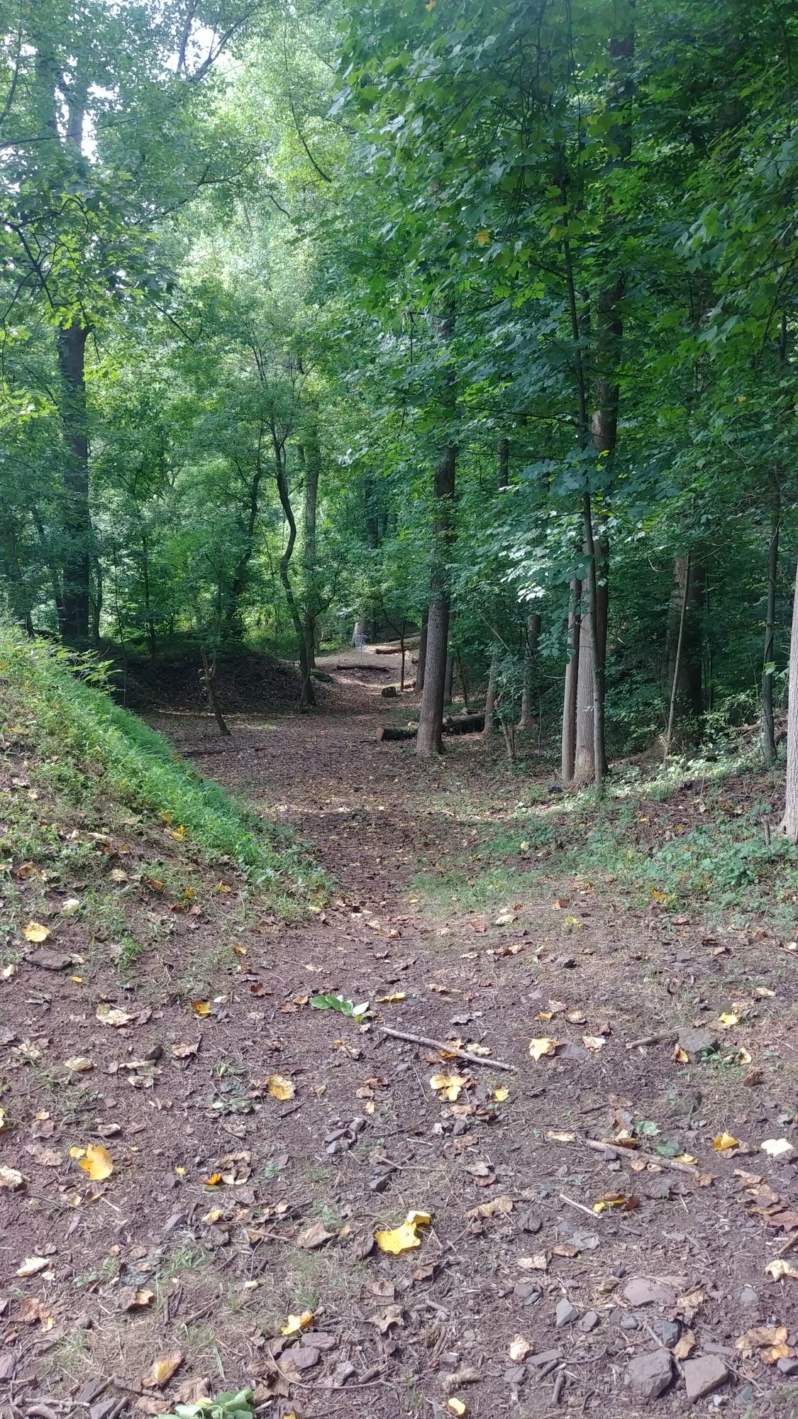 new extended fairway on hole 26 beyond the mound (seen on left)