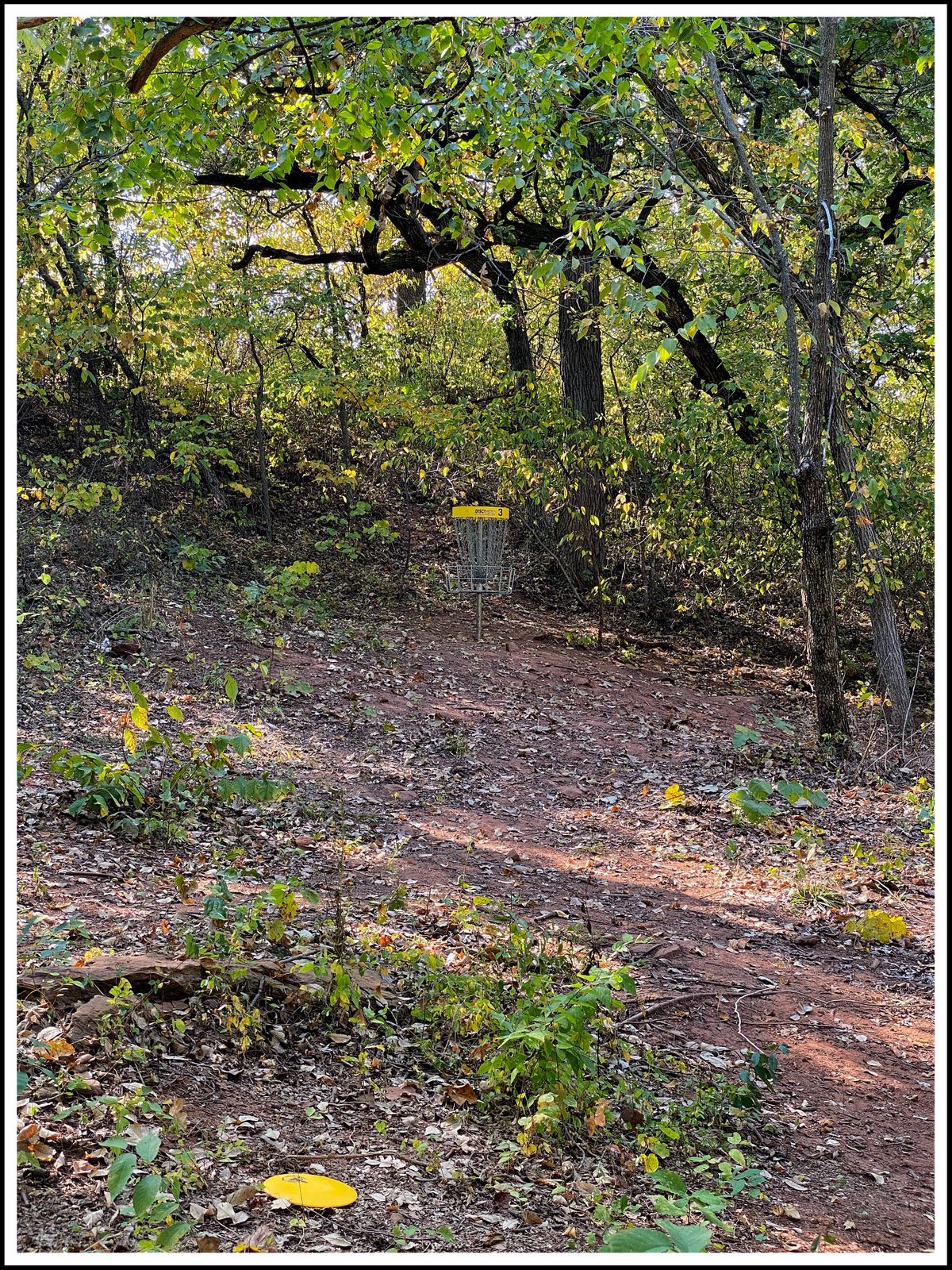 #3 basket up on the hillside