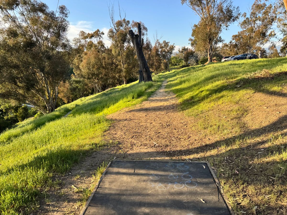 11 short tee box