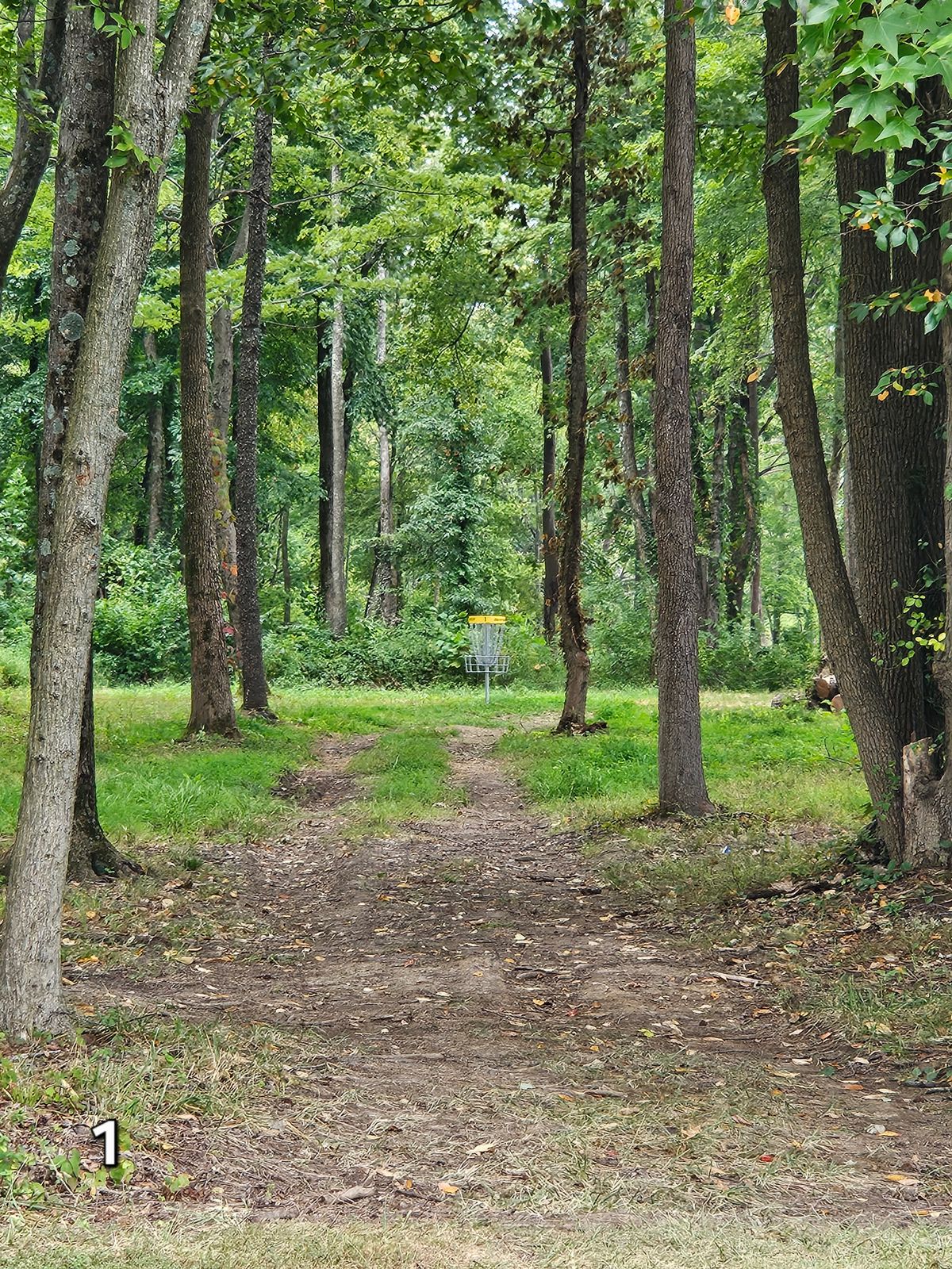 Hole 1