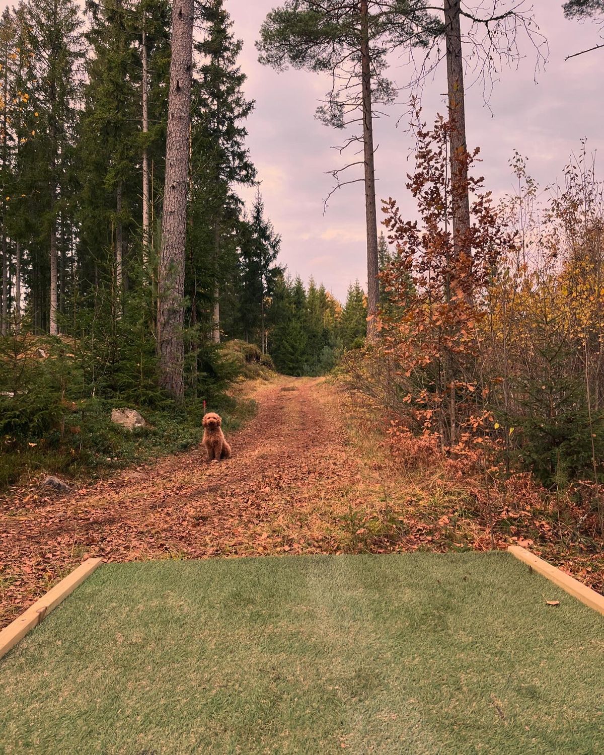 Hole 15 - Technical par 4
