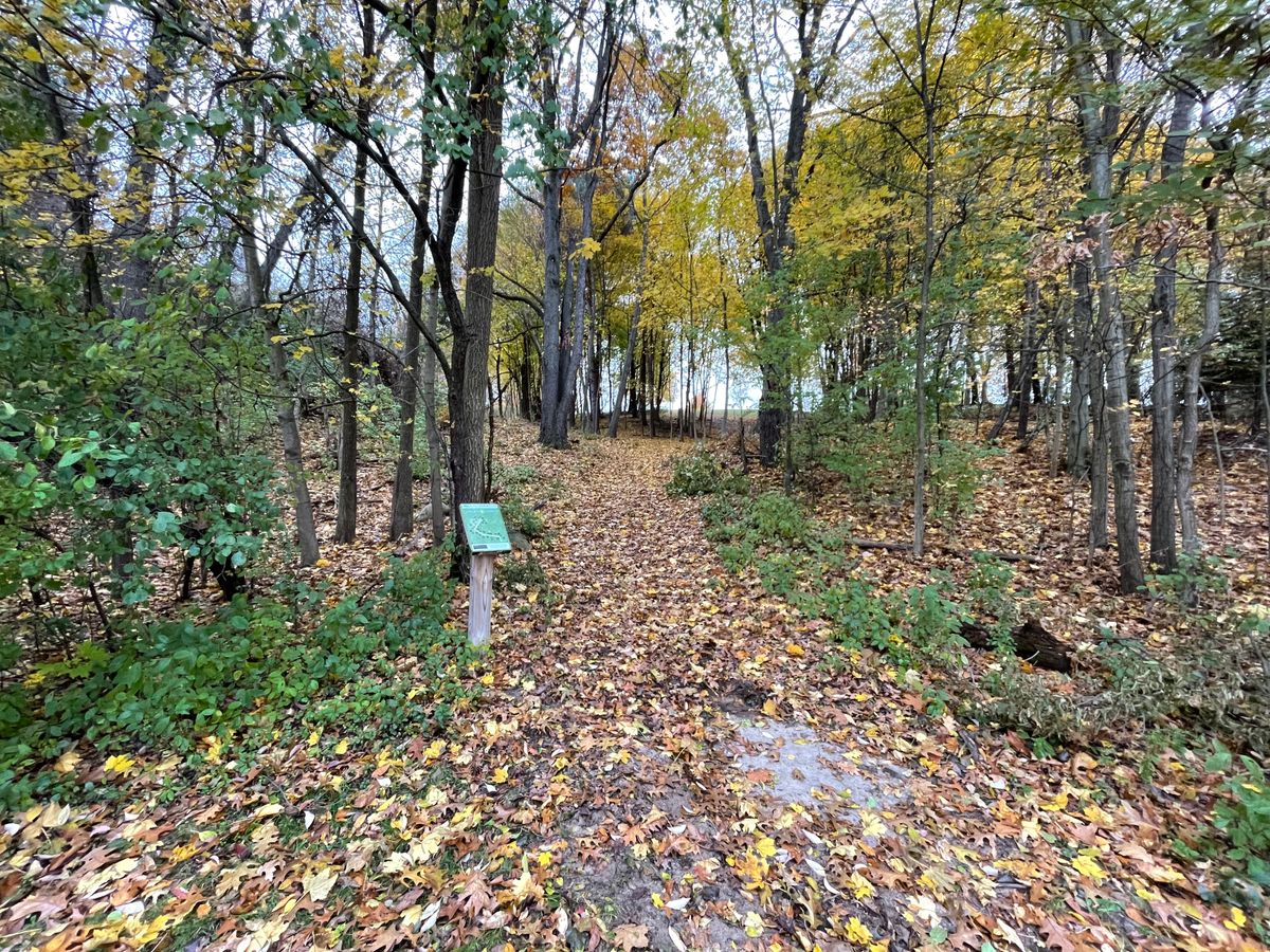 Hole 6 from long tee