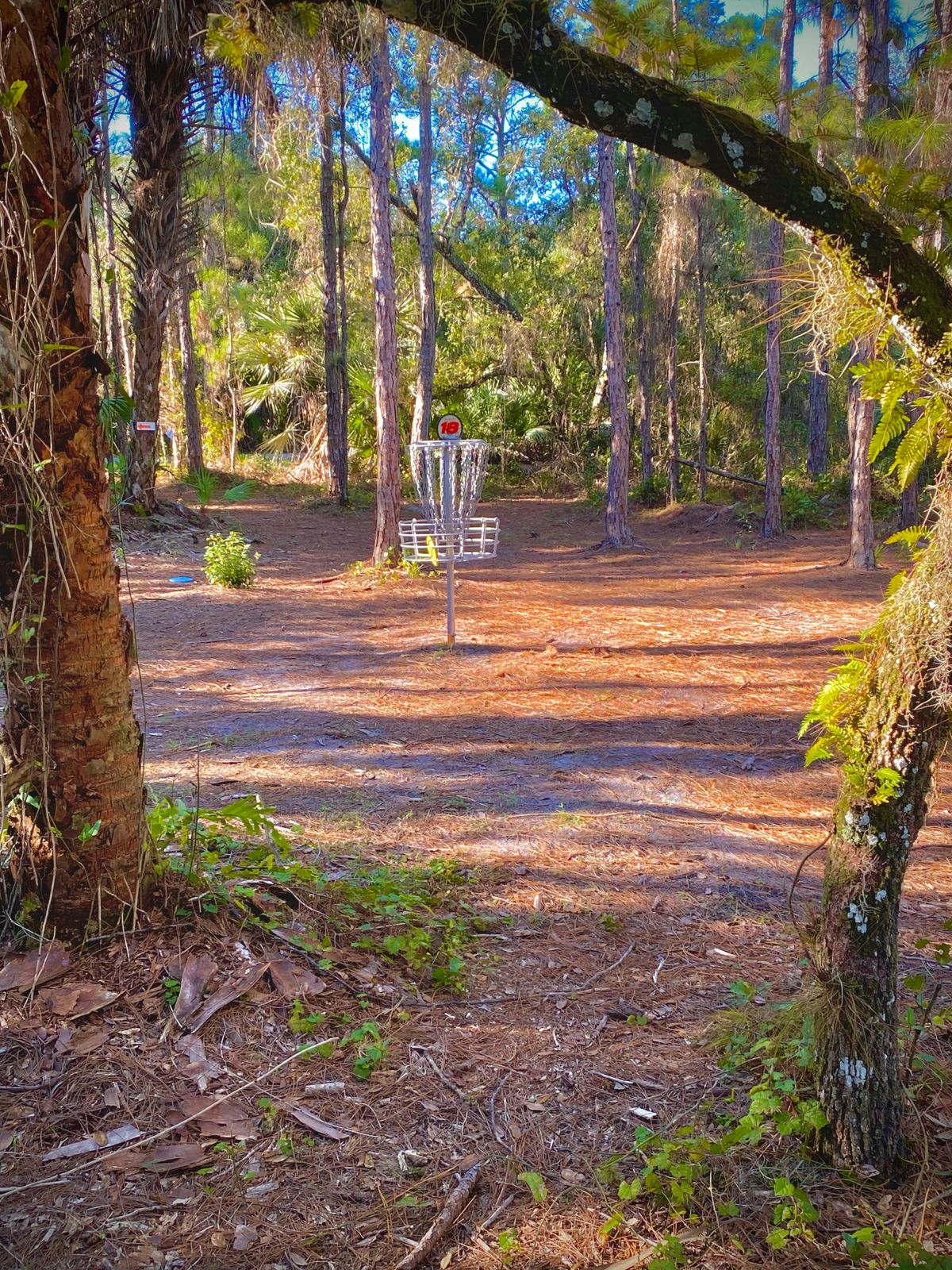 Hole 18 - 11-7-21