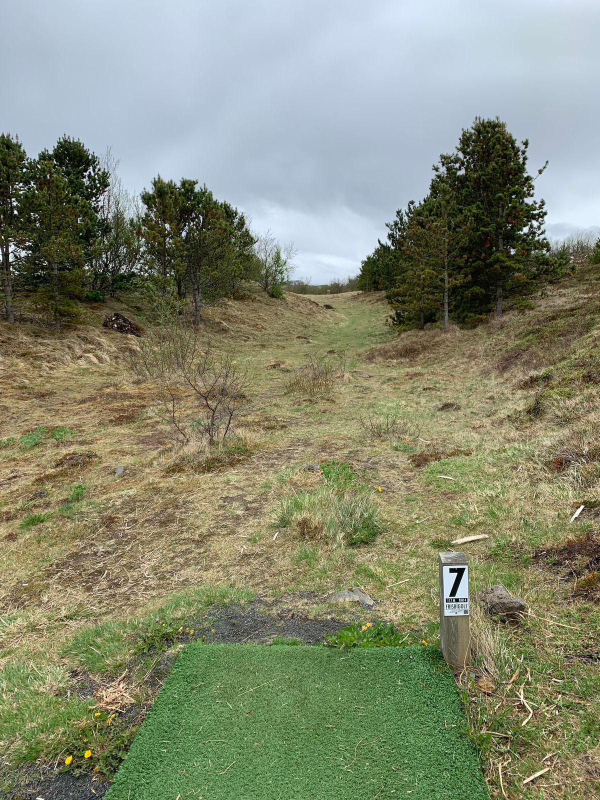 7th hole
