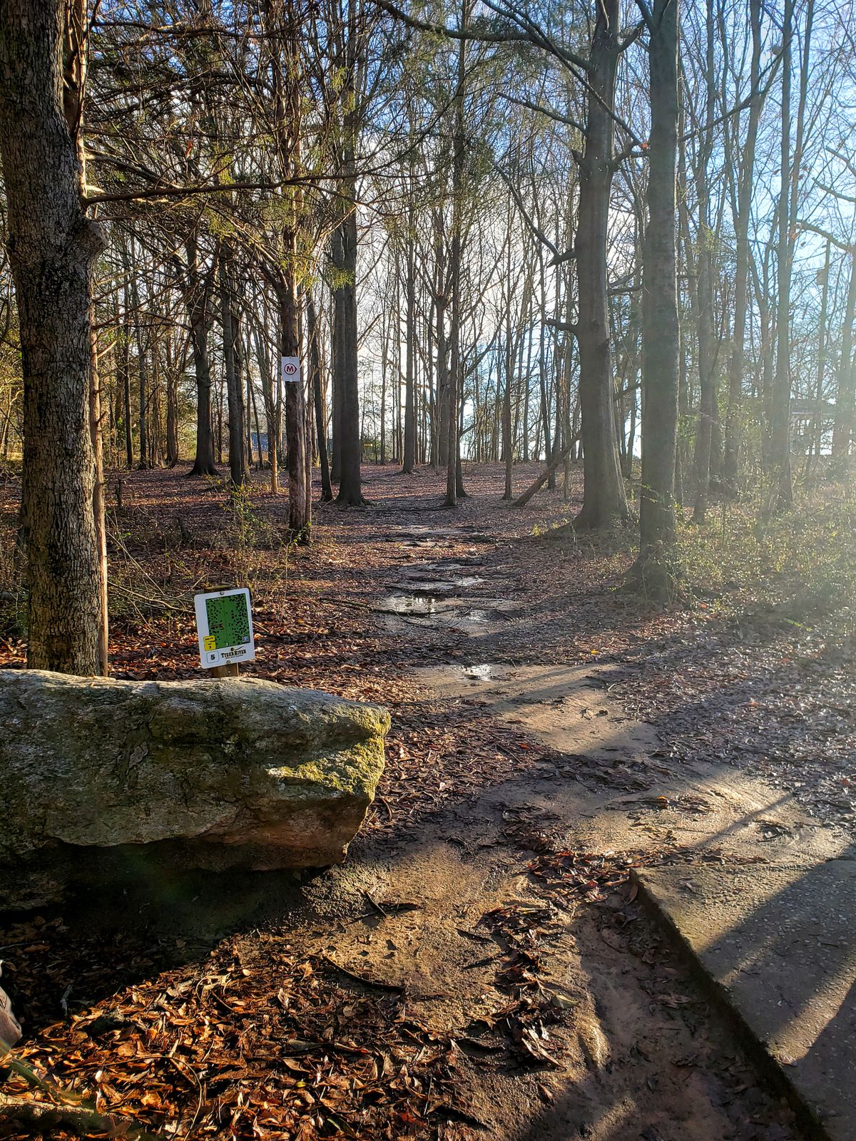 Hole #5