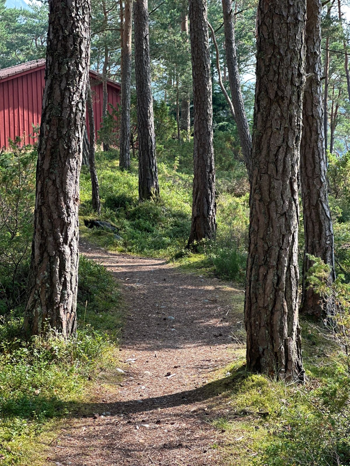 Sti ned fra hull 1