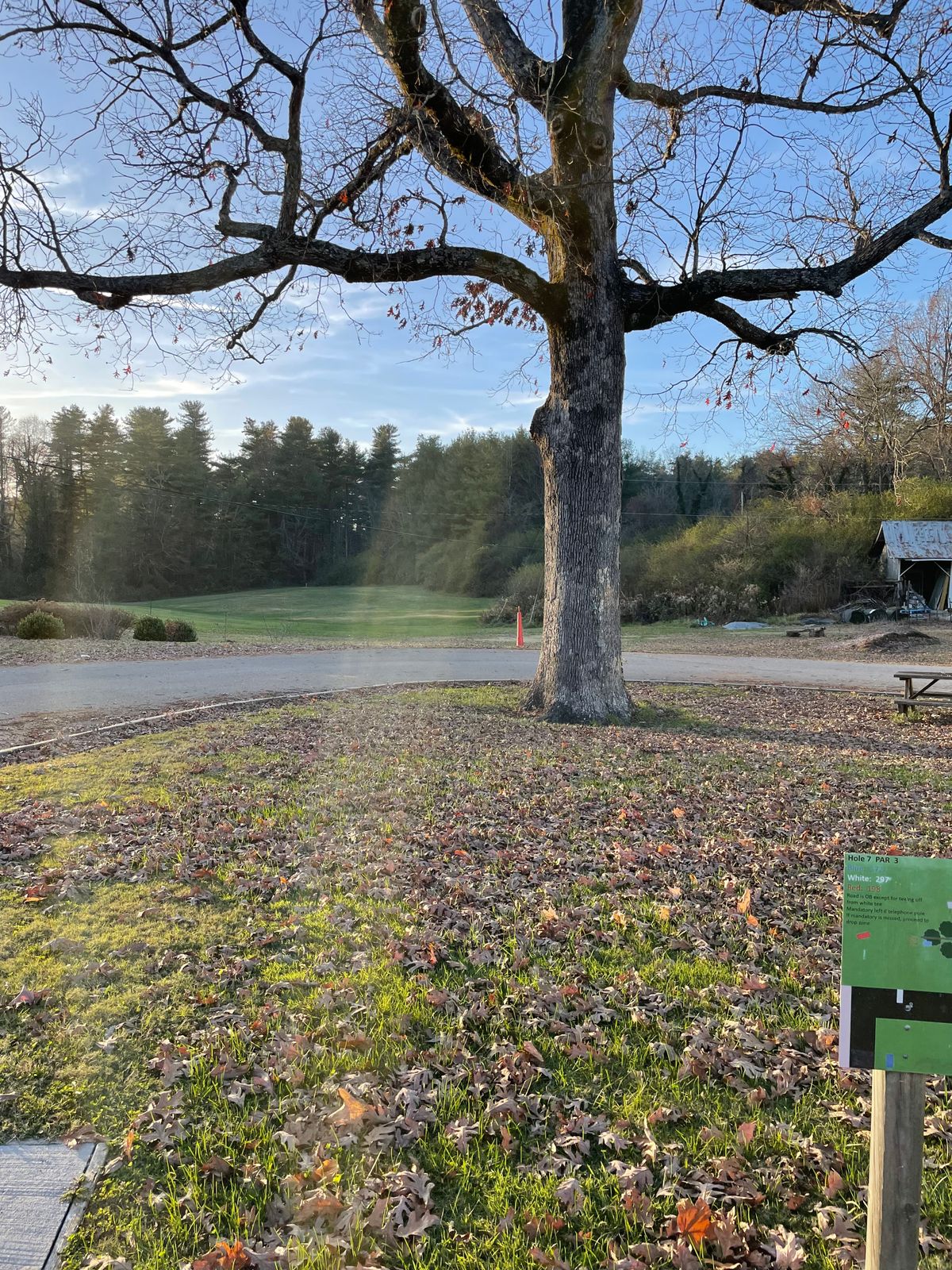 Hole 7 blue tee