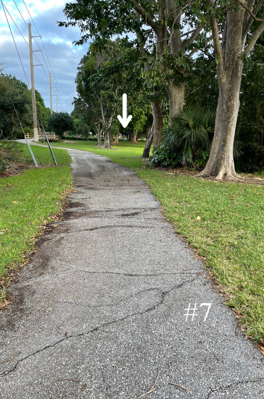 Hole 7, Long Tee