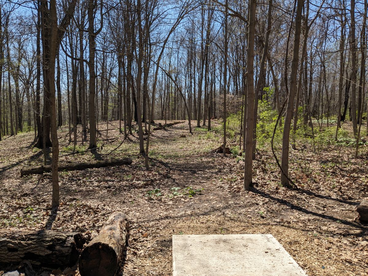 #6 from Tee Pad