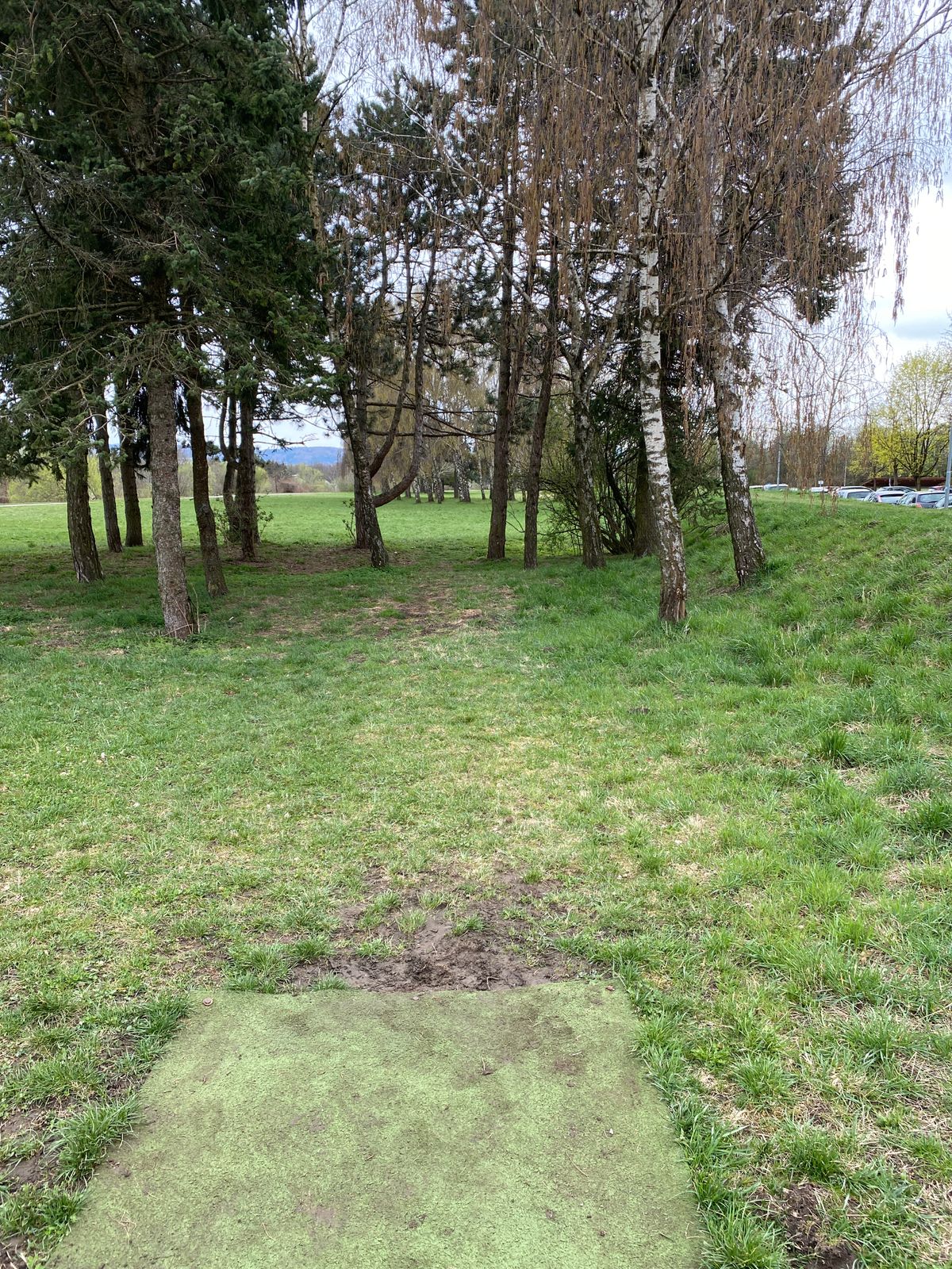 Hole 12 from the turf tee.