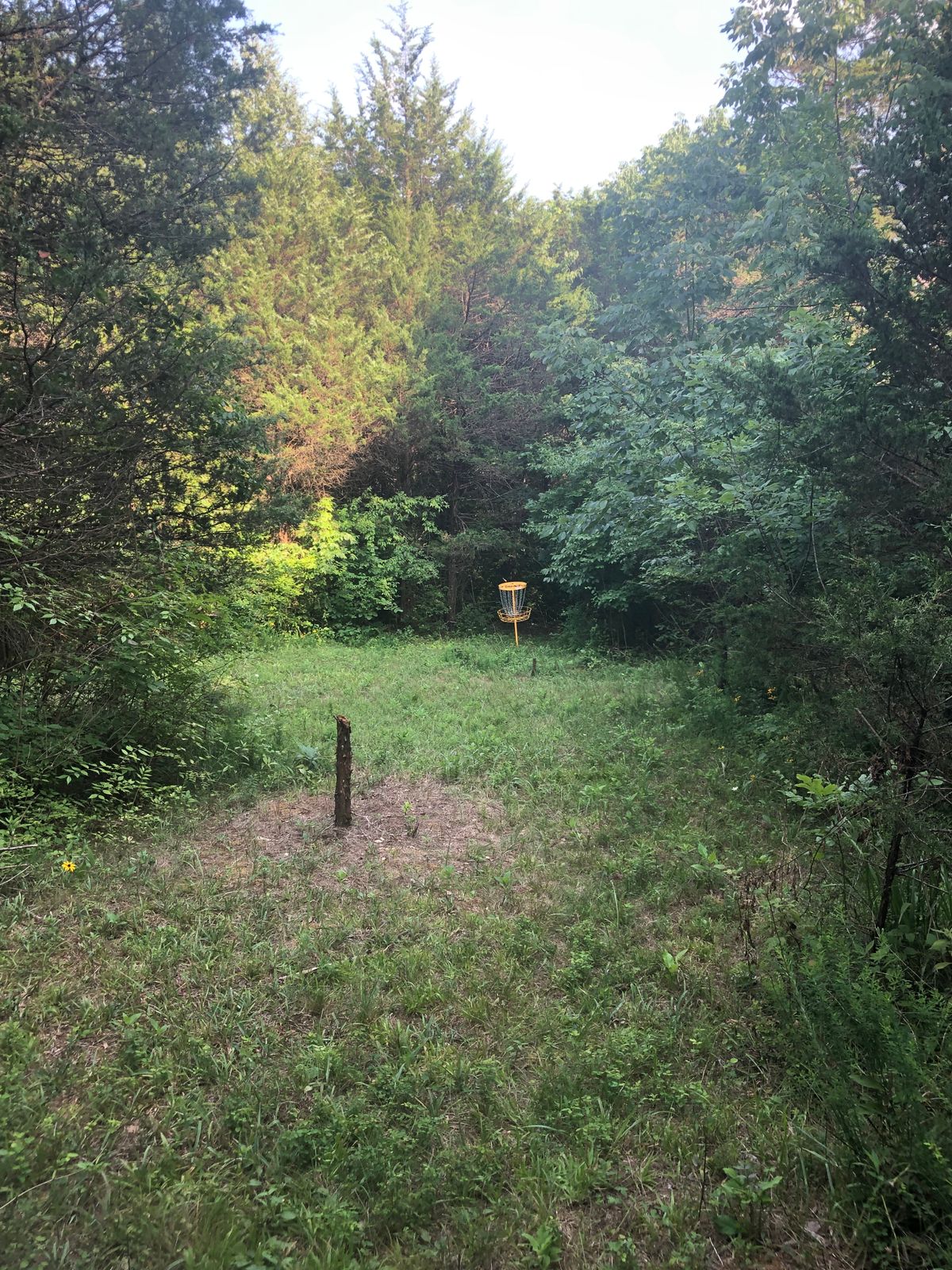 Hole 4 green