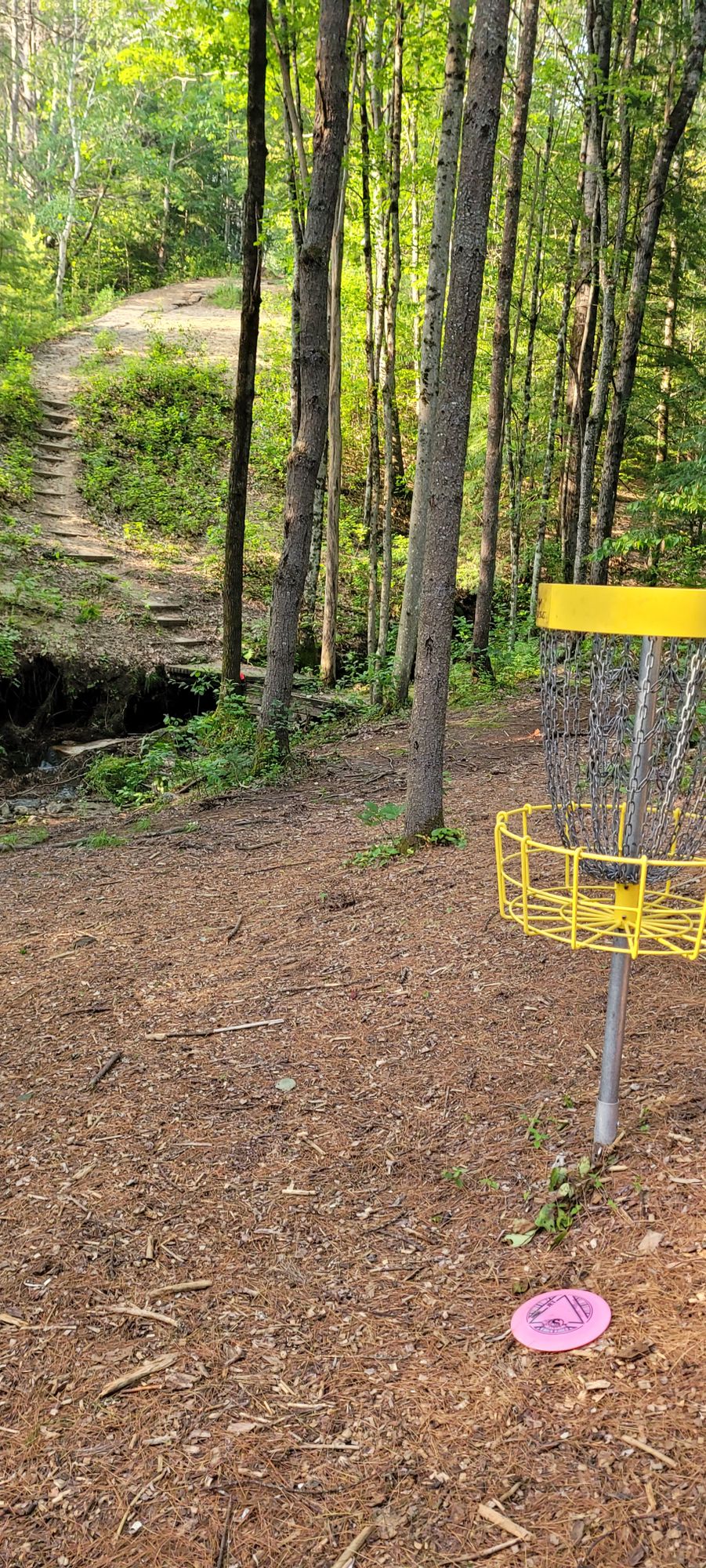 so close, almost an ace