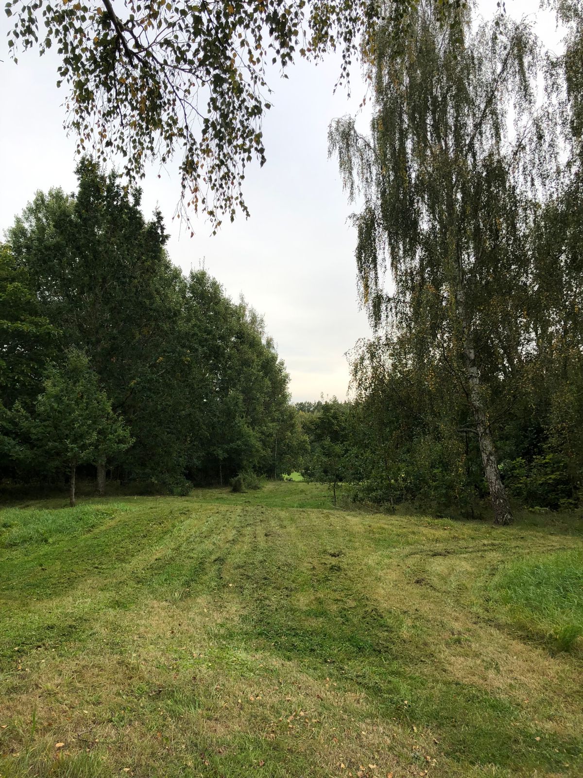 20. Vänstra fairway