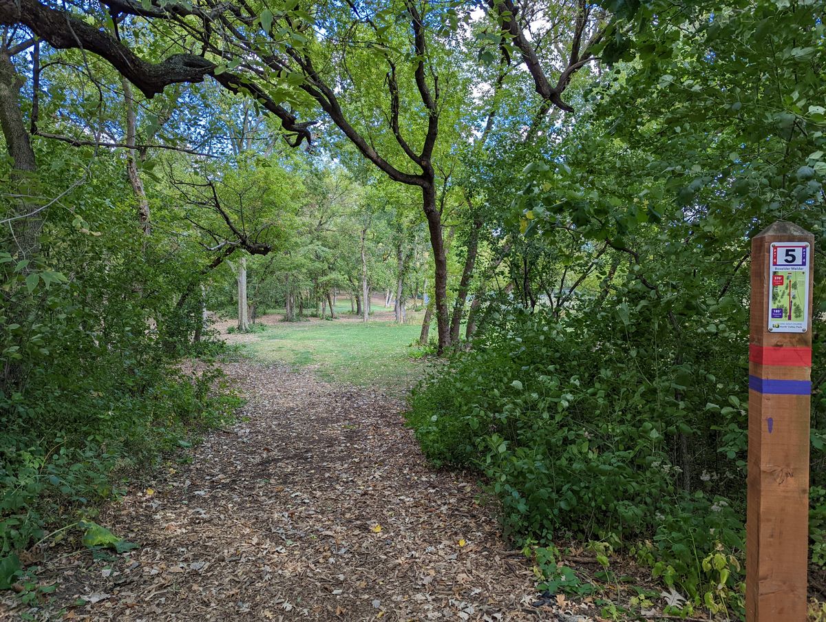 Hole 5 red/purple tee.