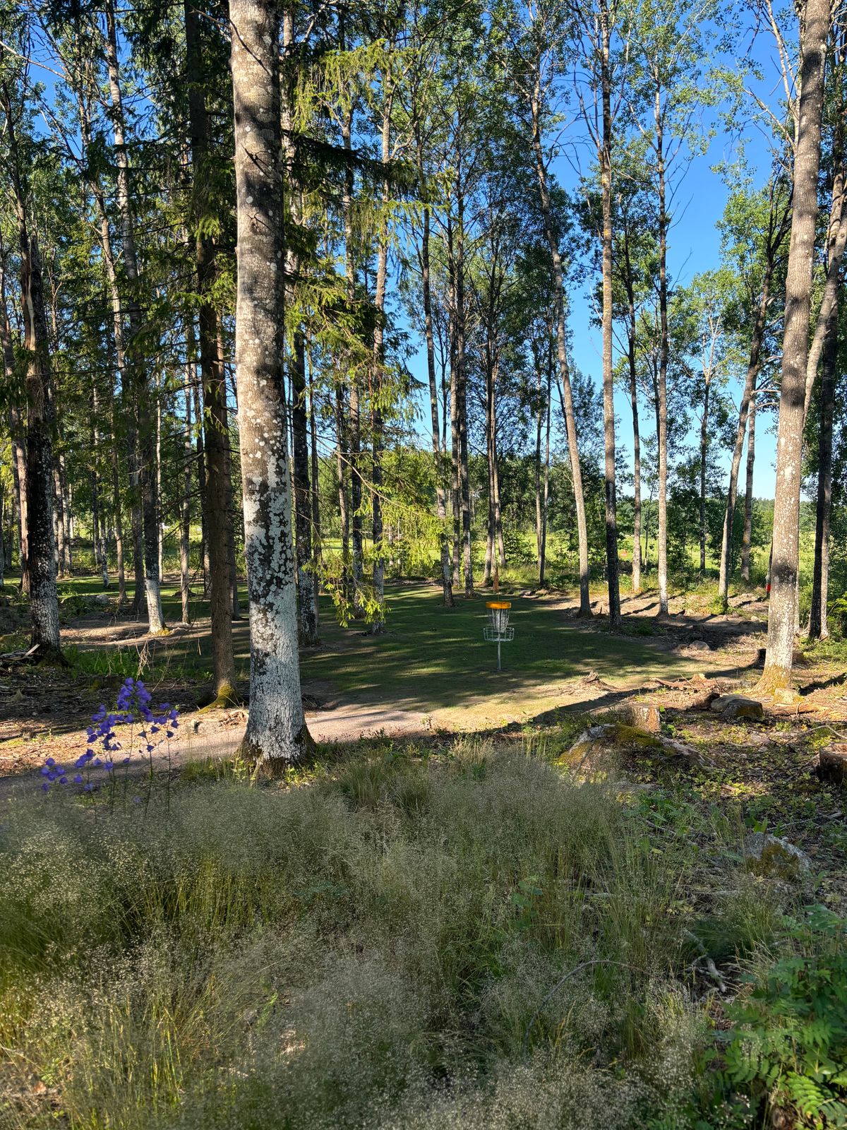 Hål 13