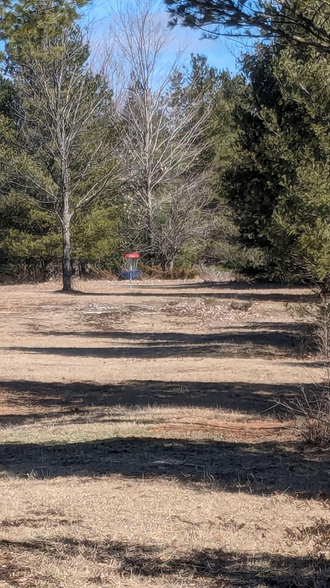 Hole 3-straight long fairway