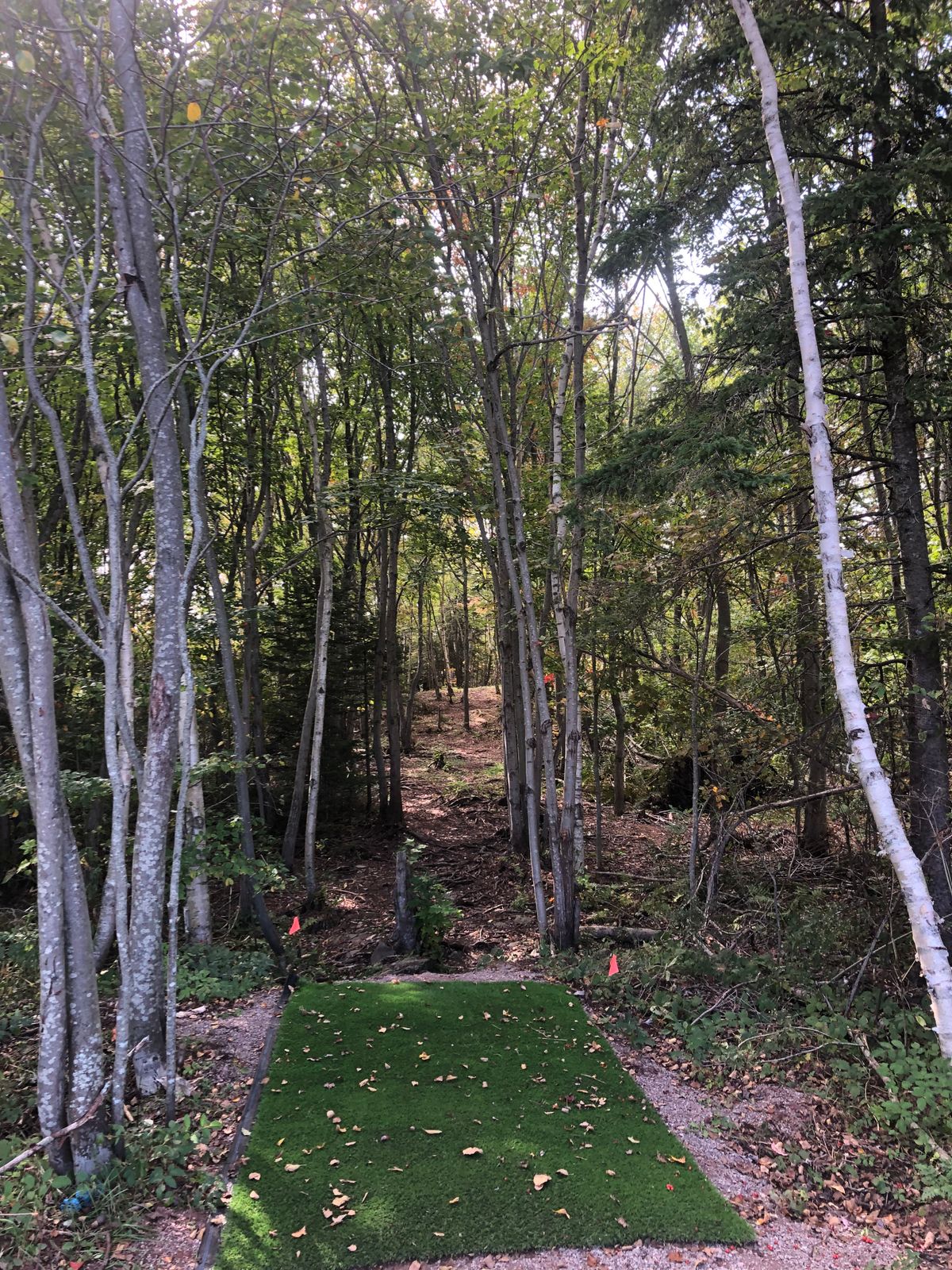 Tee hole 5 tight line