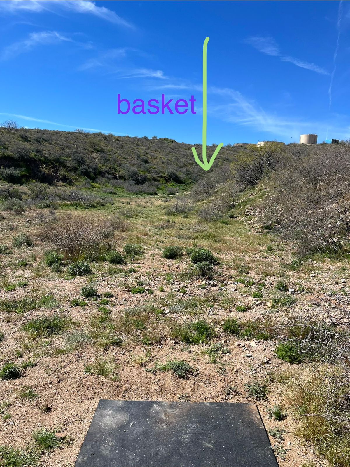 looking toward the basket from the teepad