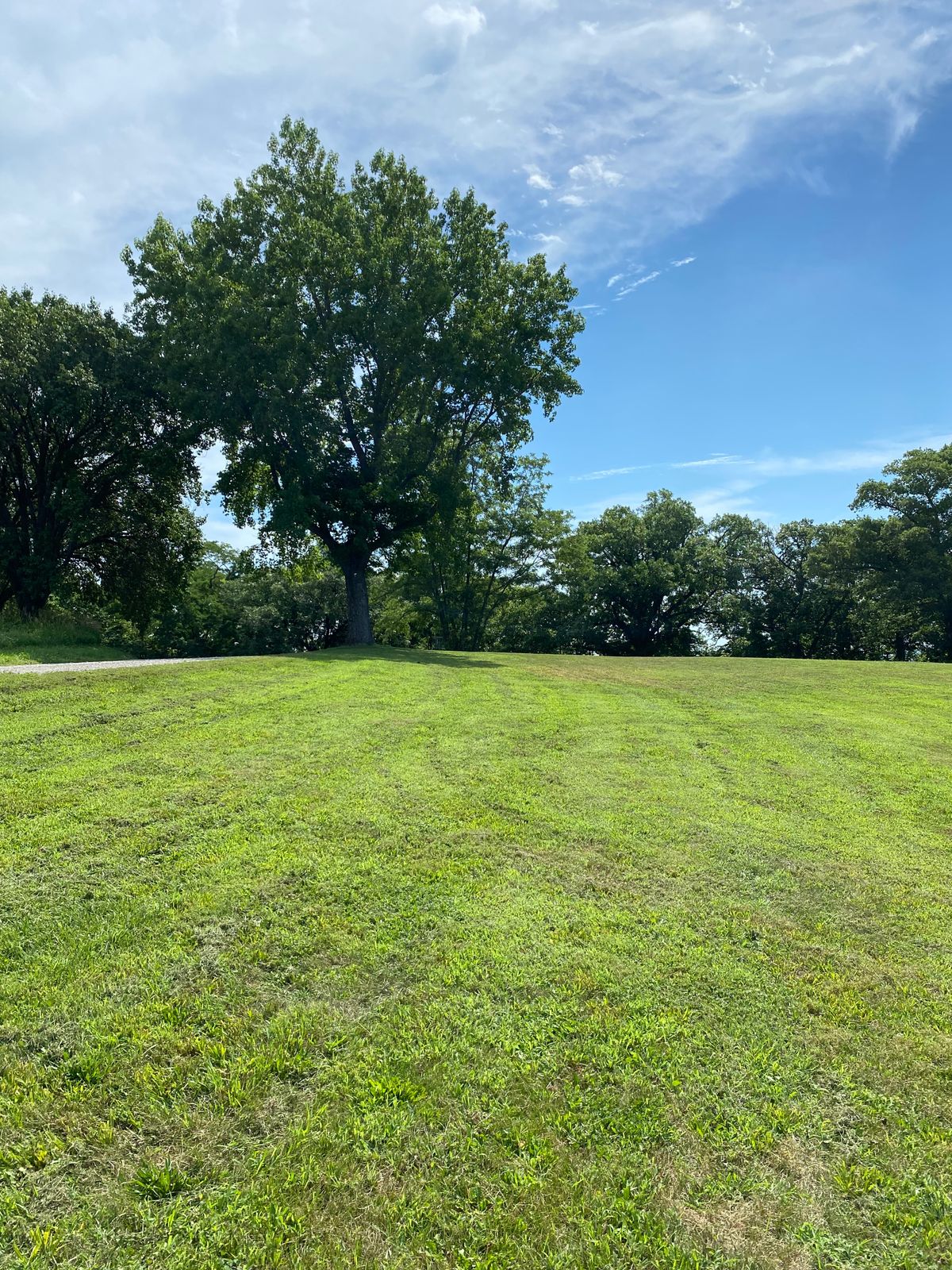Hole 6 Mid-Fairway