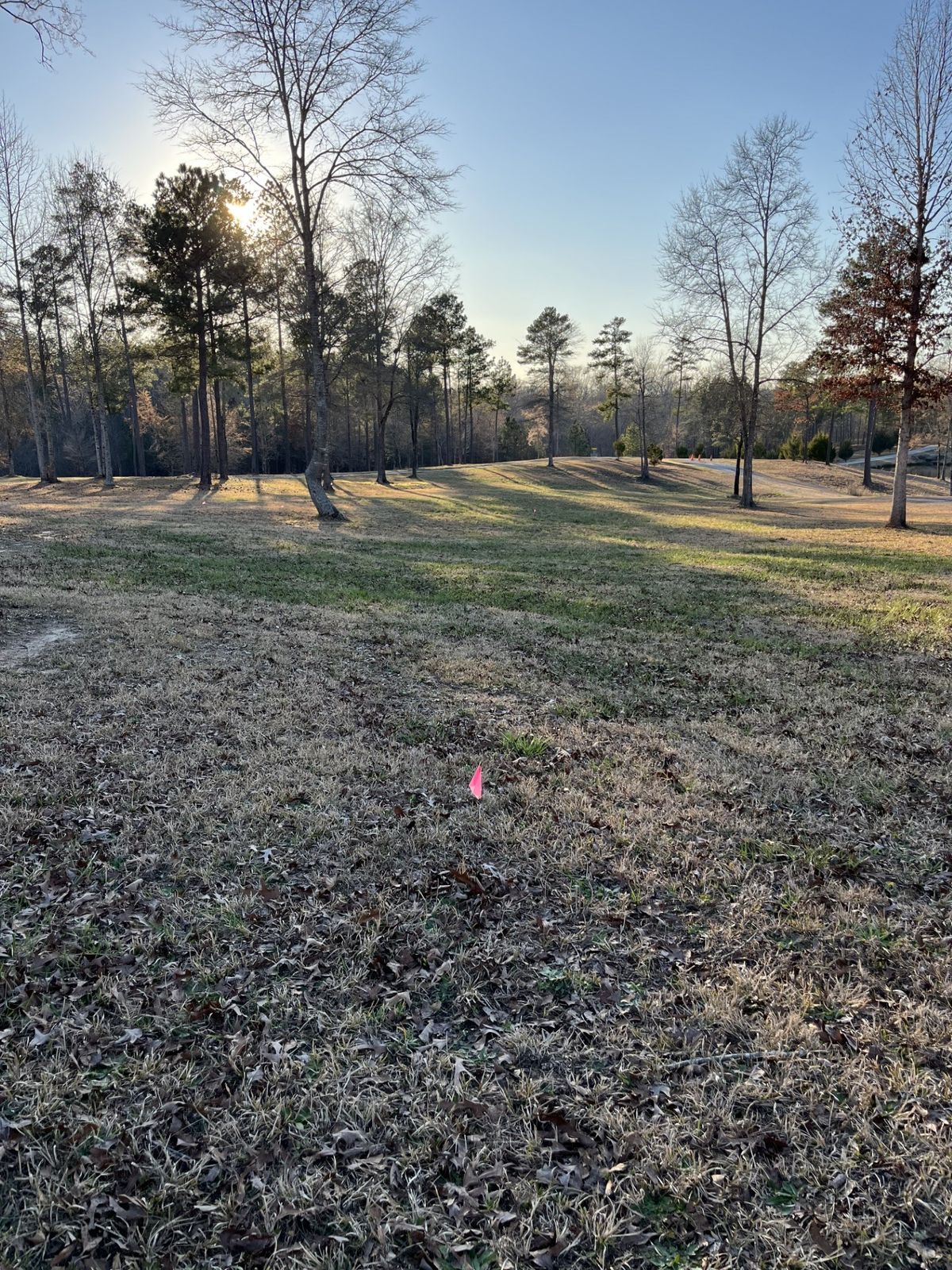 Hole 1 - tee to basket
