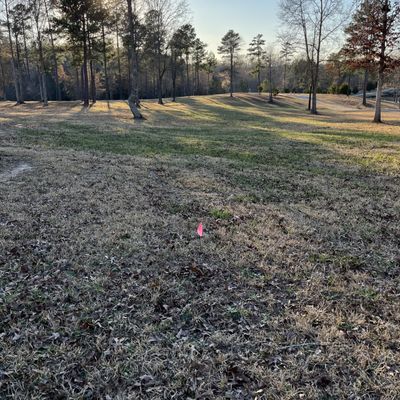 Hole 1 - tee to basket