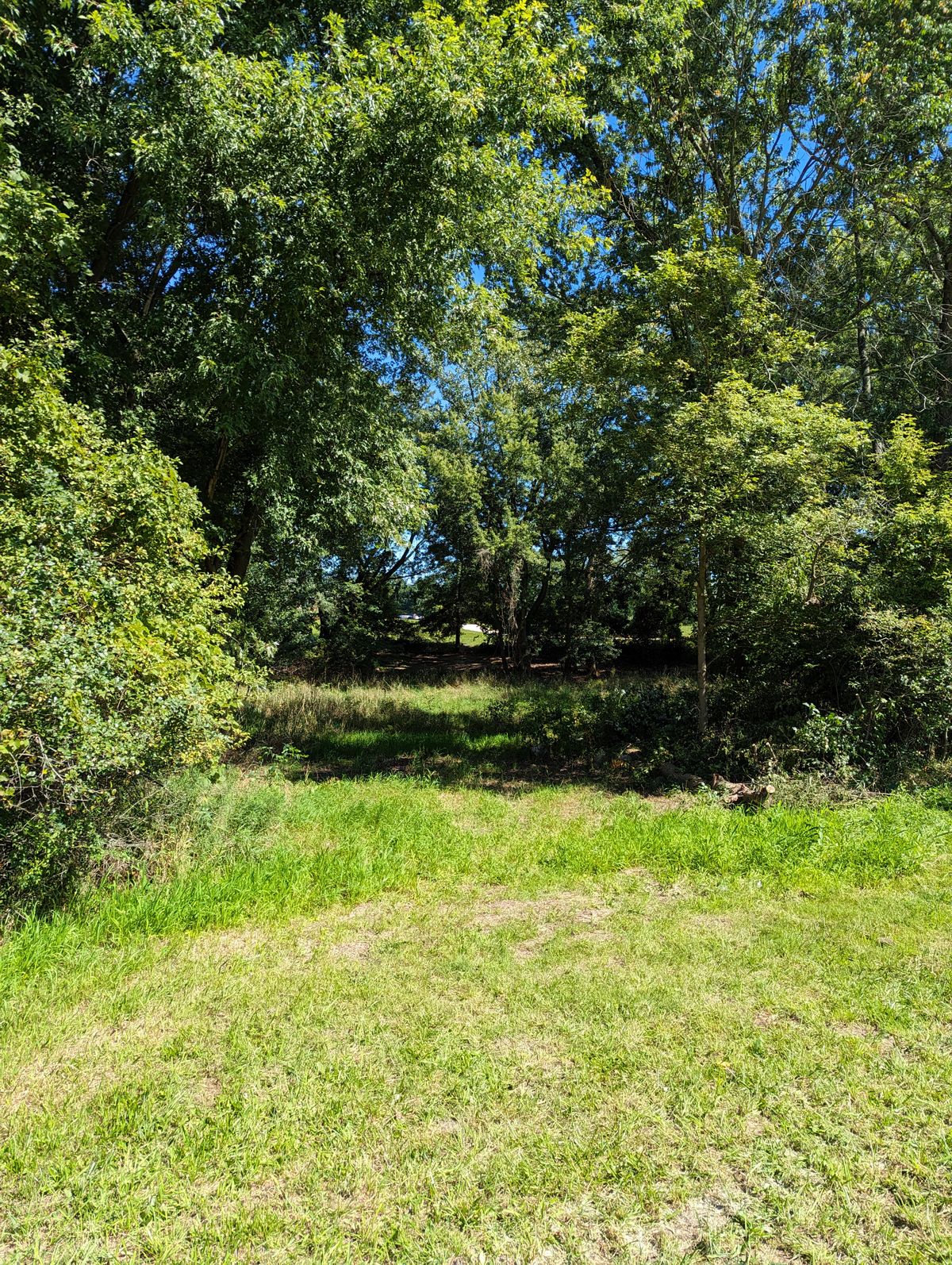 Hole 1 Teepad