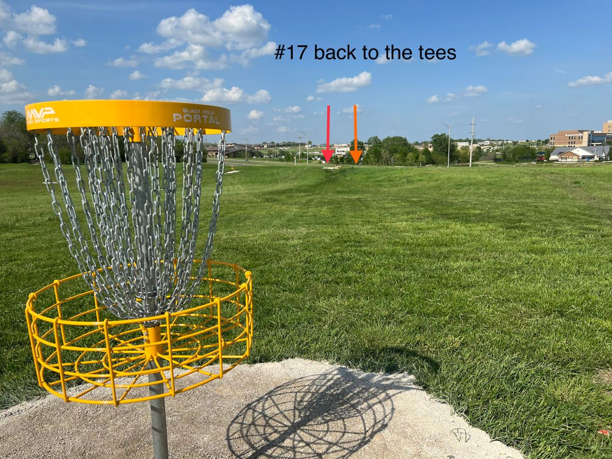 #17 - basket to tees