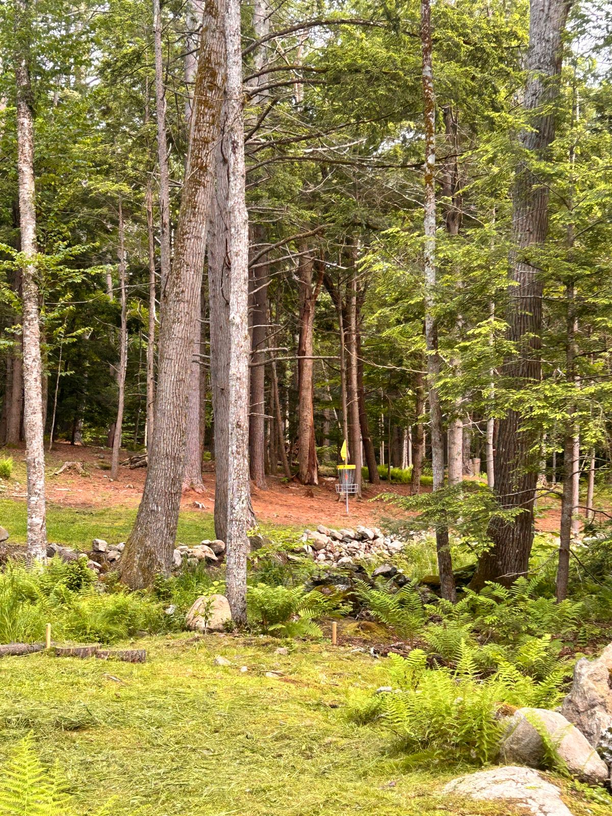 Hole 7 approach