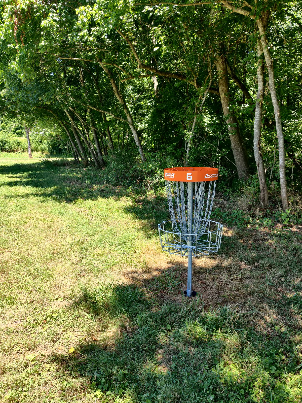 Hole 6. Looking back at the exit from the woods from the basket.
