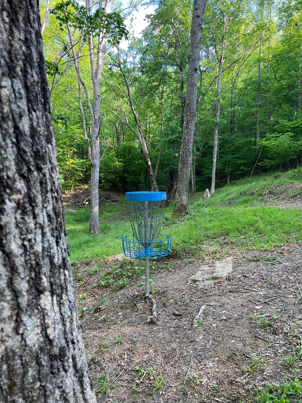 Hole 11 Basket to Tee