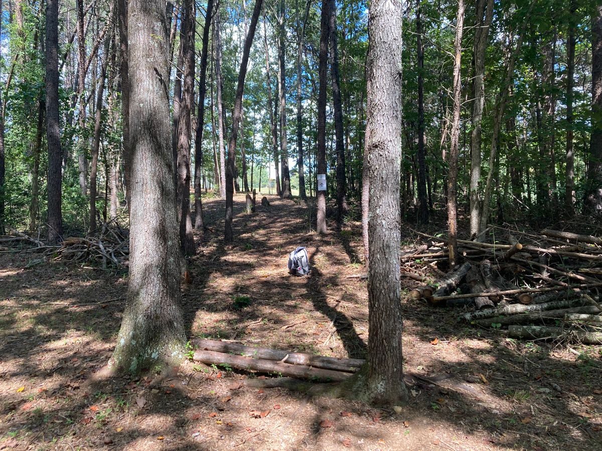 Tee #8: Short distance but very tight gaps (<6’) and uphill. A fun challenge