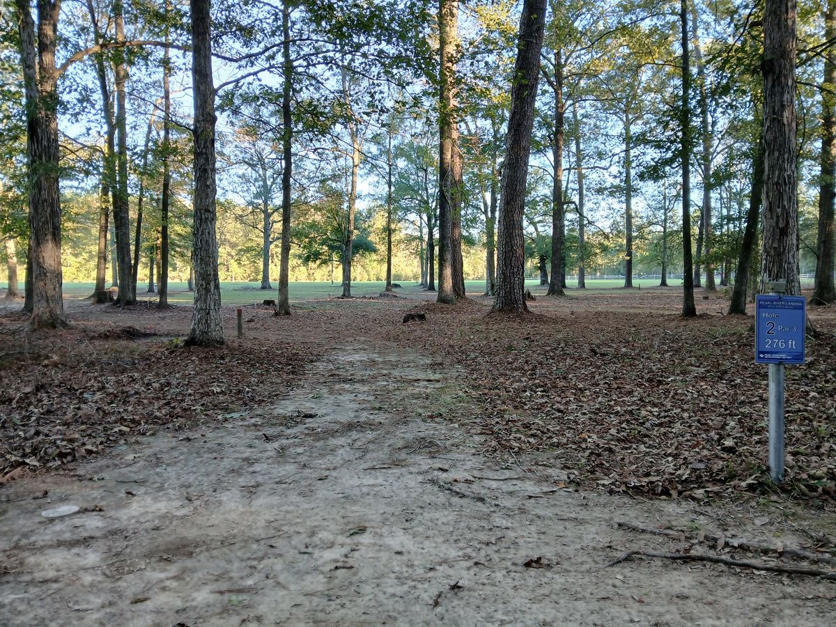Hole 2 white tee (middle)