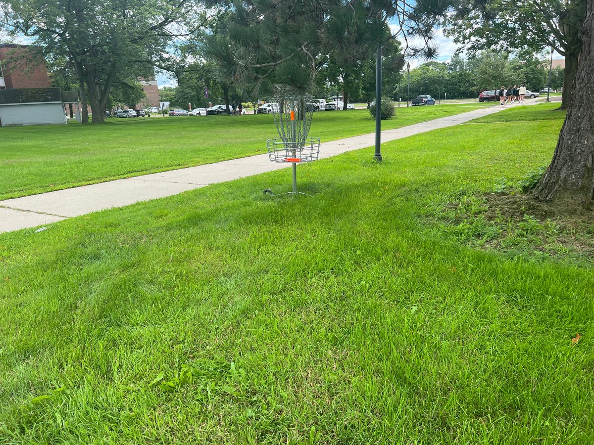 Hole 4 basket
