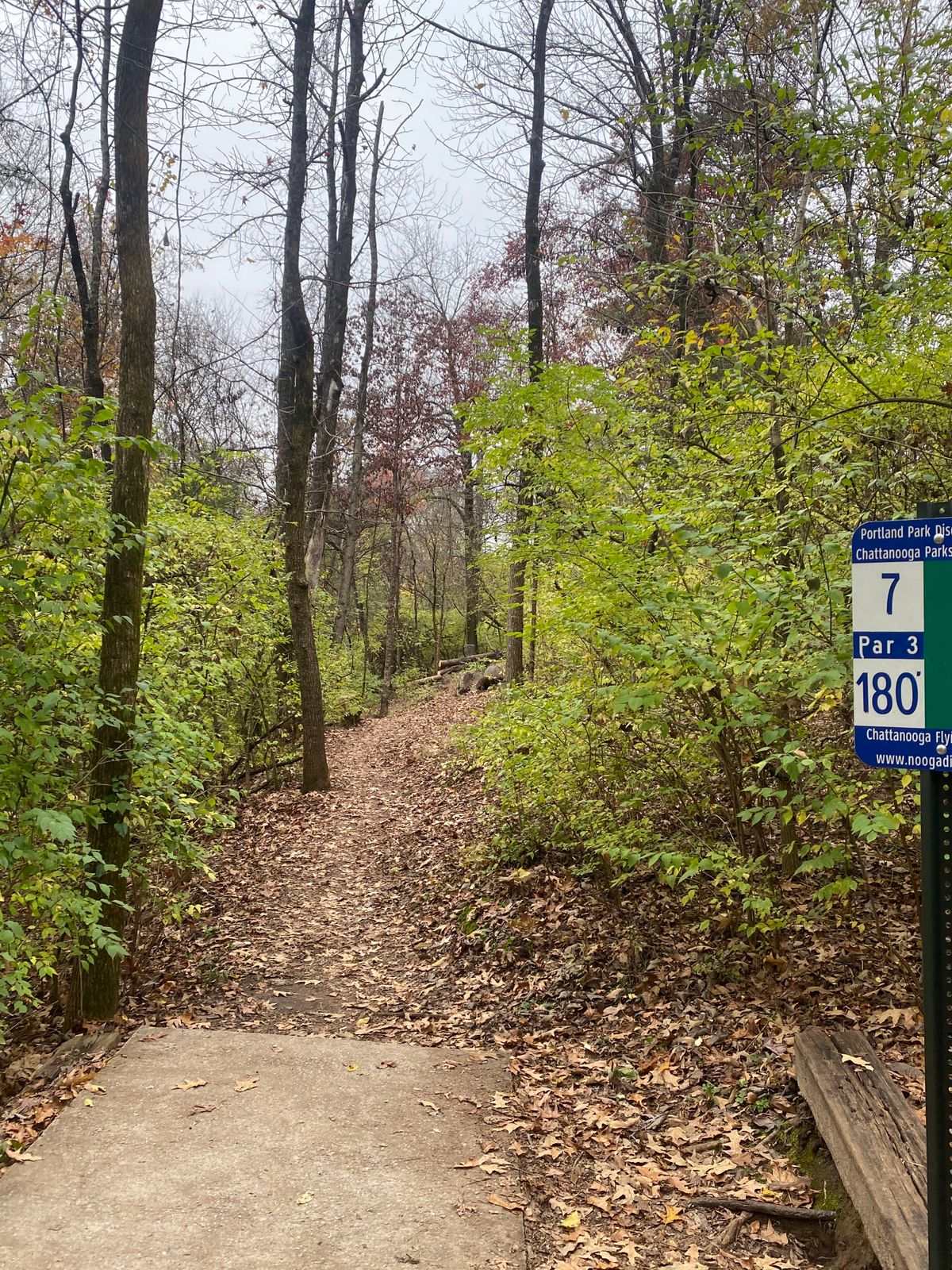 6, 7, & 8 are tight and wooded.