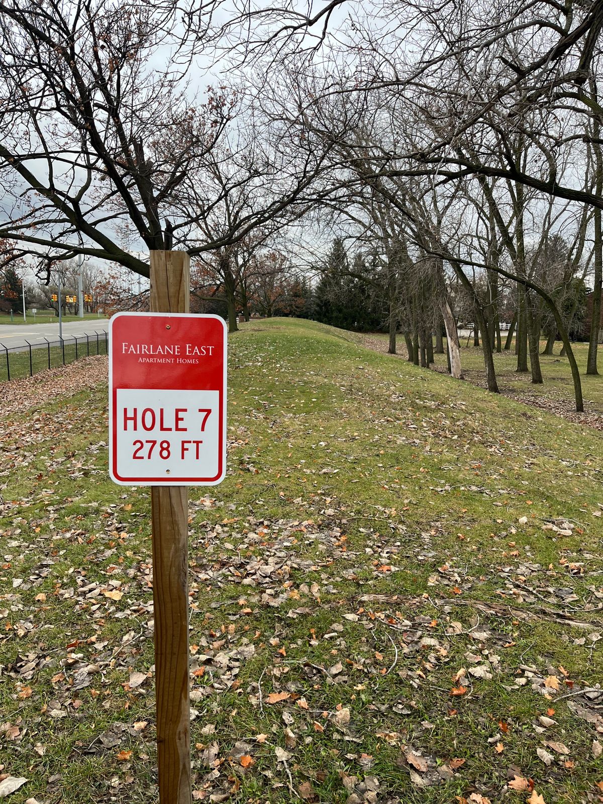 Hole 7