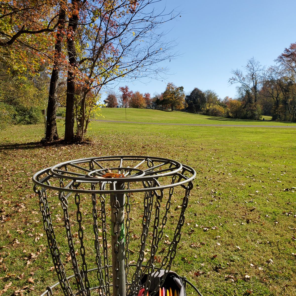 1st basket looking back to 1st tee.