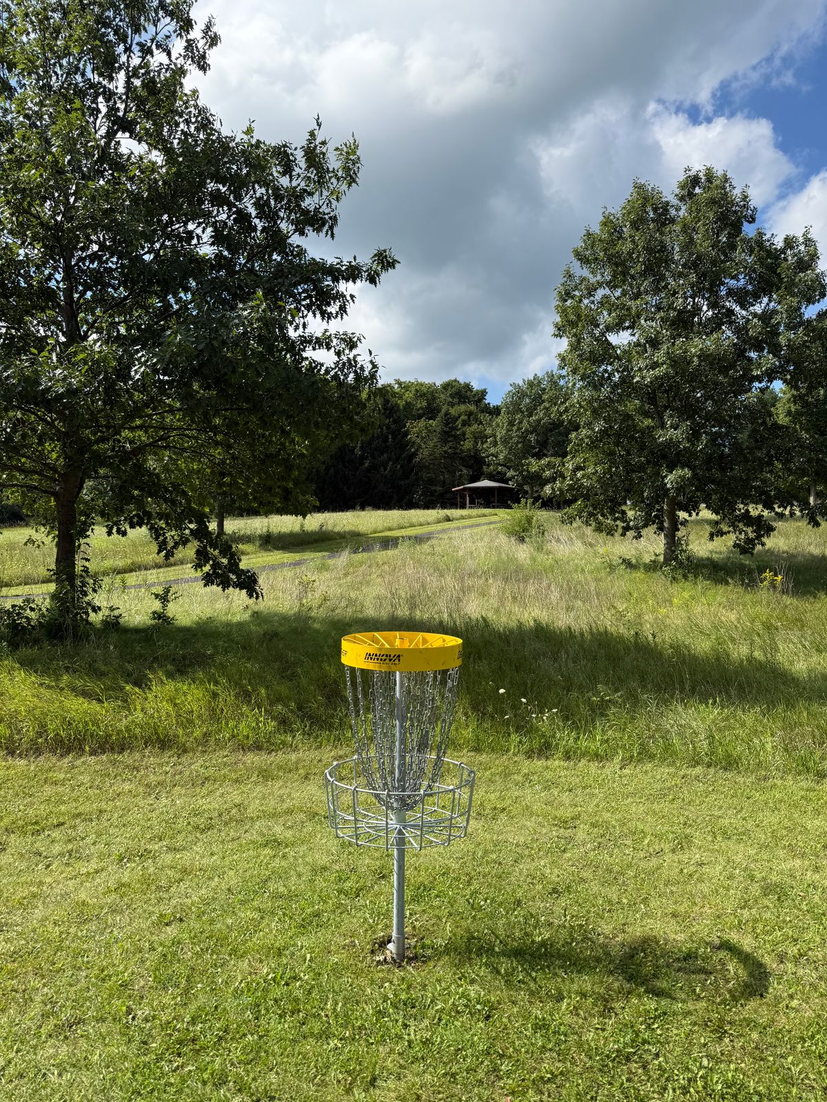 Hole 3 basket looking uphill back toward tee