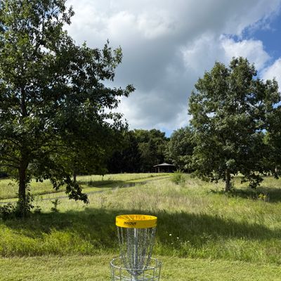 Hole 3 basket looking uphill back toward tee