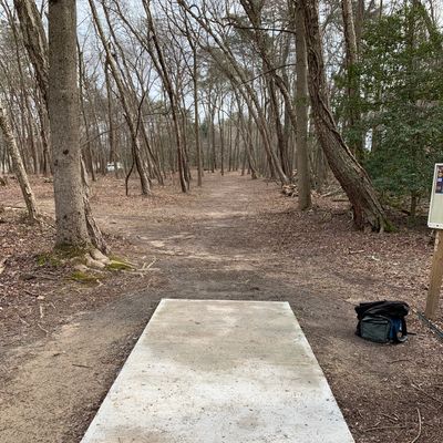 Hole 11 long tee
