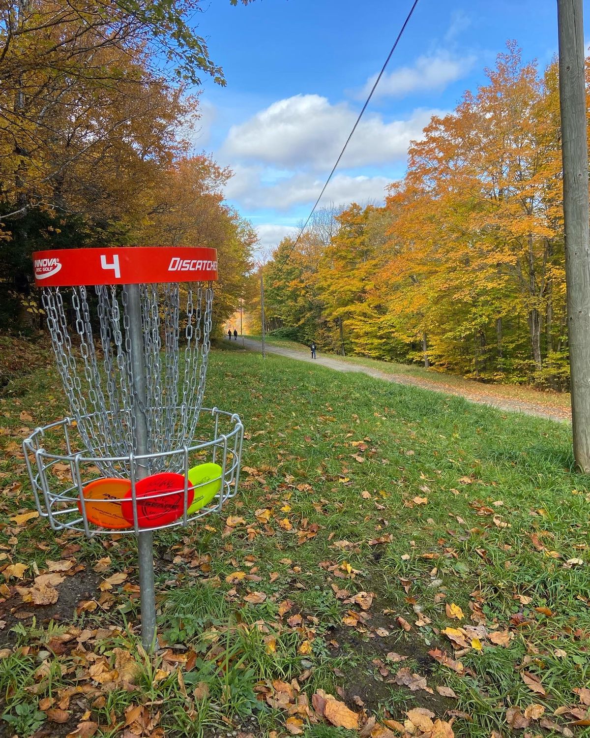 Fall colours on 4
