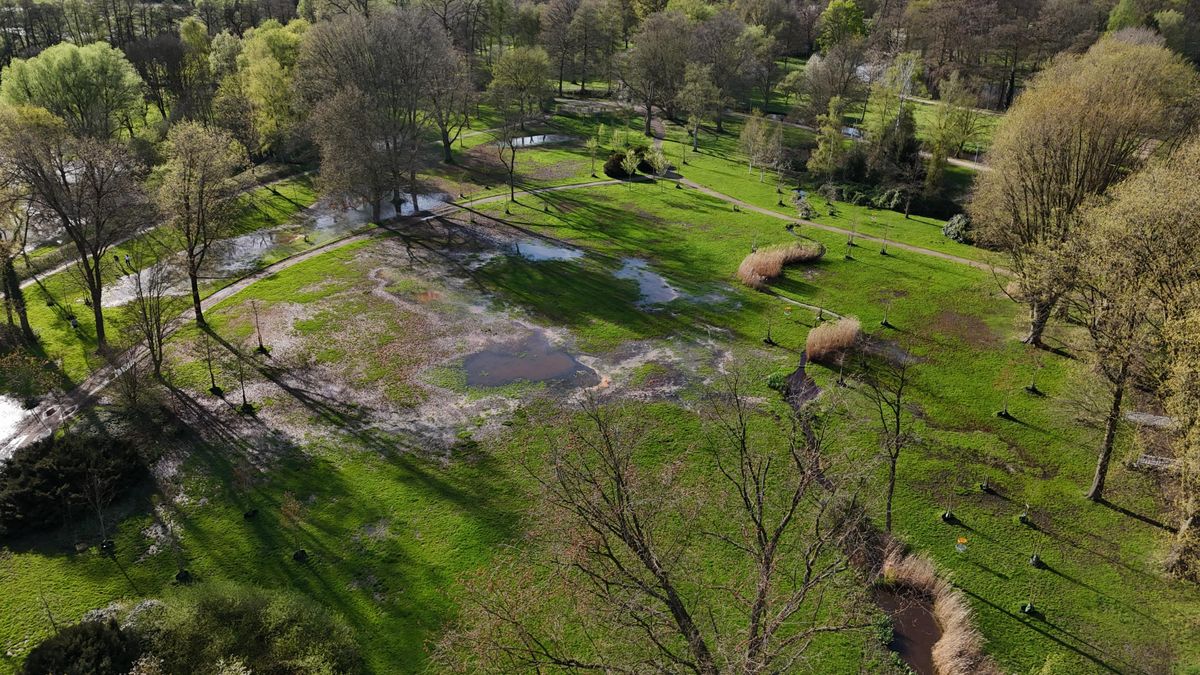Flooded park on a sunny day