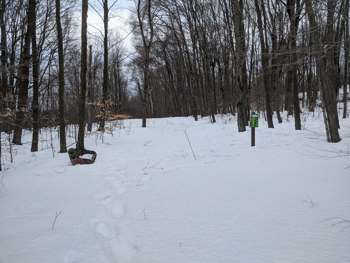 Snow is a bit deep... note bench on the left... Most tee pads clear enough for a small walk up.