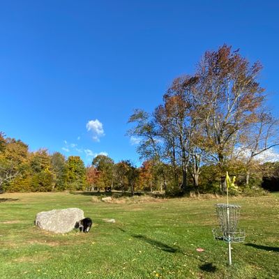 Green of 18