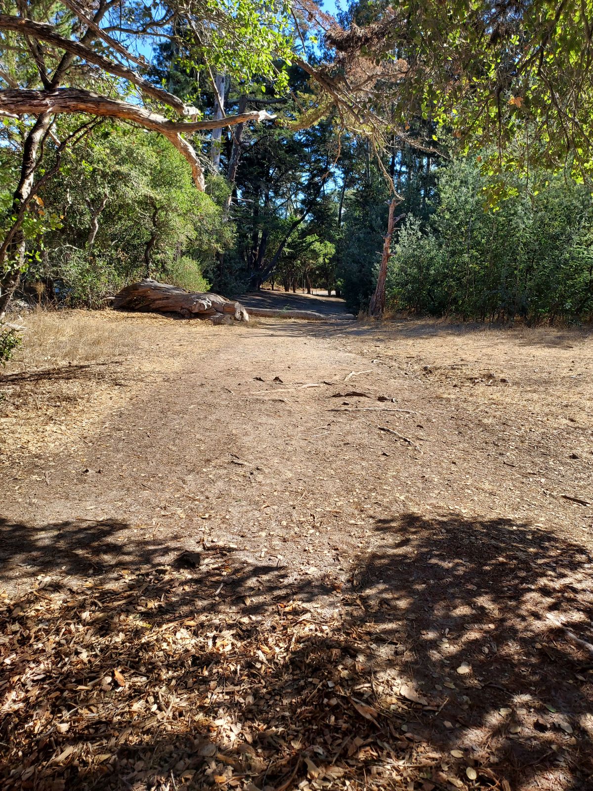 Hole 8 from the tee