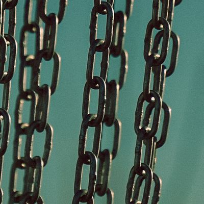 (📸: Luke Zacharias)