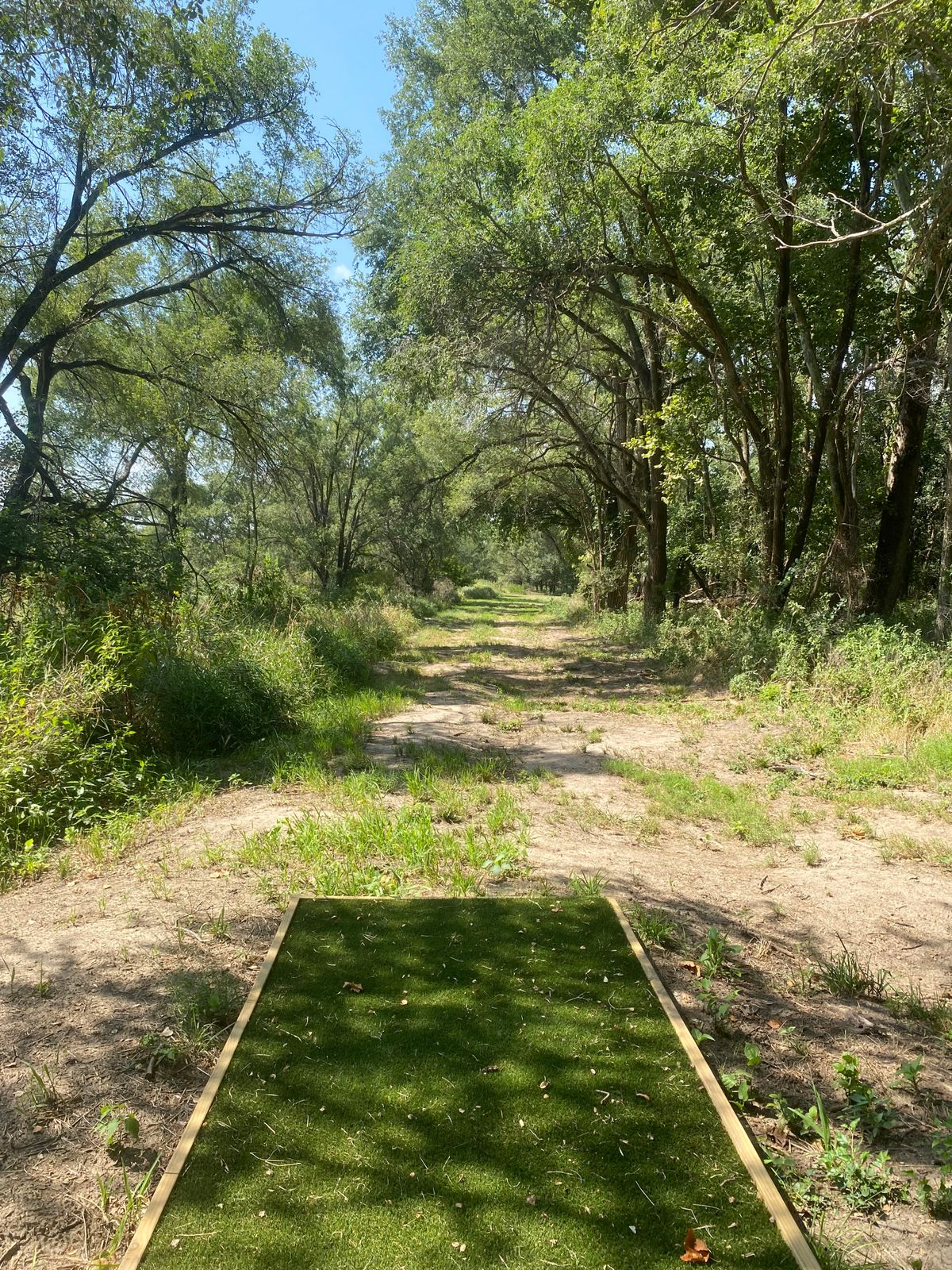 Hole 16 tee