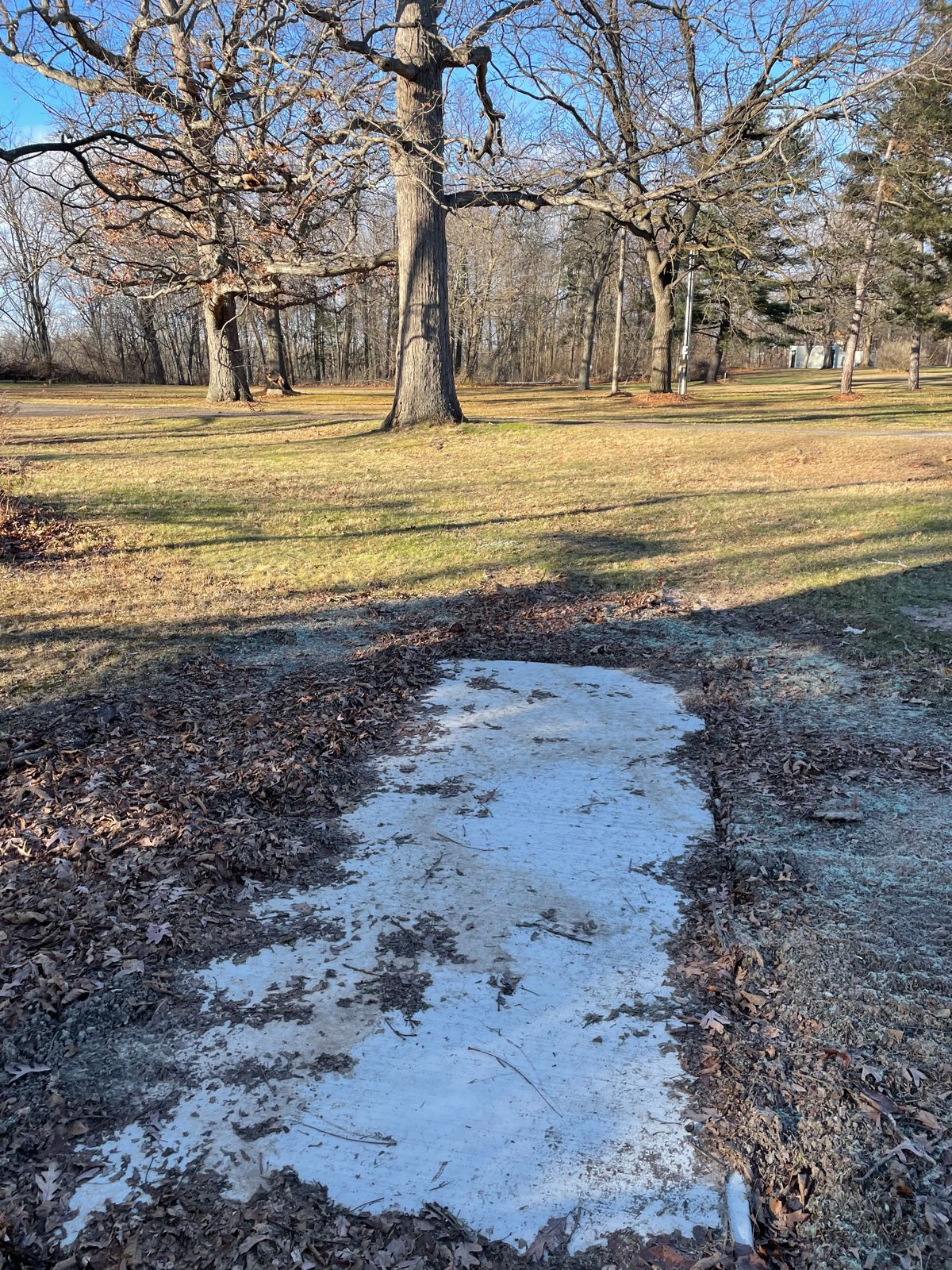 Hole 7 Blue tee pad